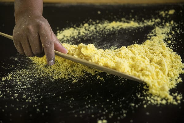 Amazon Dolphin - Amazônia Essencial