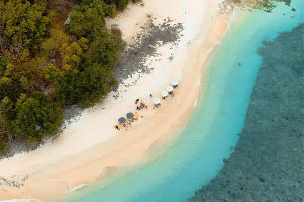 Aqua Blu - Indonesia's Coral Gardens & Komodo Dragons (National Geography) - Day 14