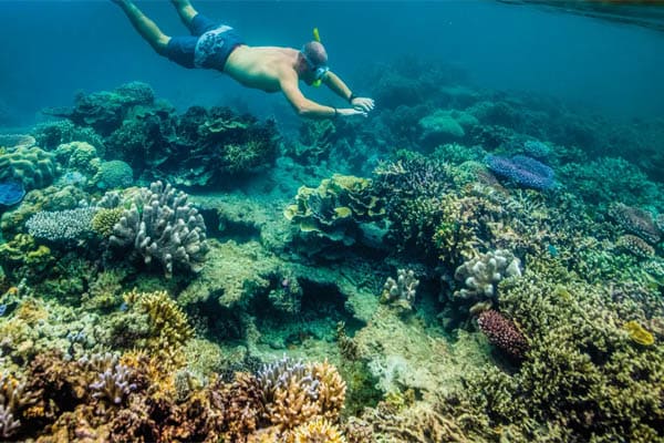 Aqua Blu - Indonesia's Spice Islands & Raja Ampat (National Geography) - Day 10