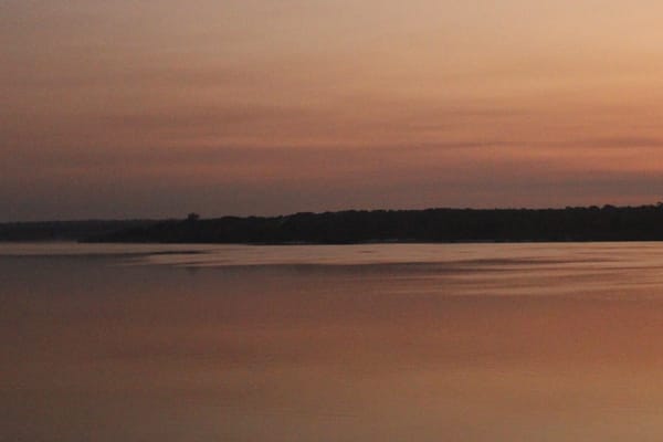 Tupaiú - Essential Encounter