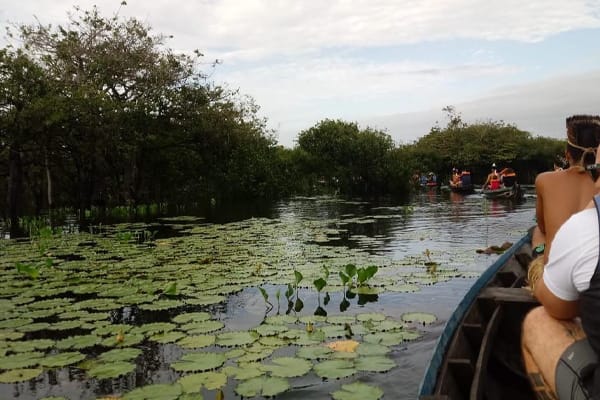 Tupaiú - Deep Immersion