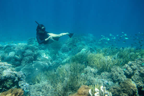 Dunia Baru - Unforgettable Komodo - Day 5