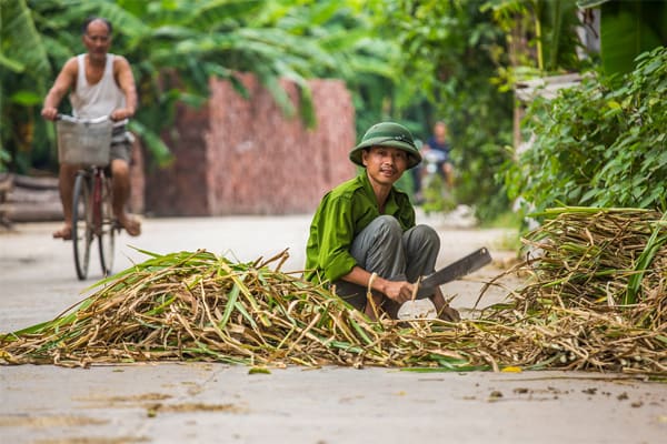 Hanoi Pandaw - Halong Bay & Red River : Viet Tri - Halong Bay - Day 8