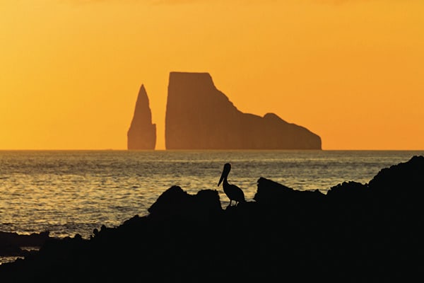 Islander II - Wild Galapagos Escape