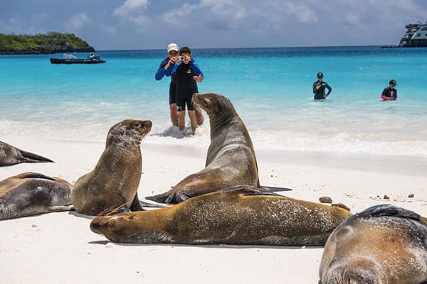 Islander II - Wild Galapagos Escape