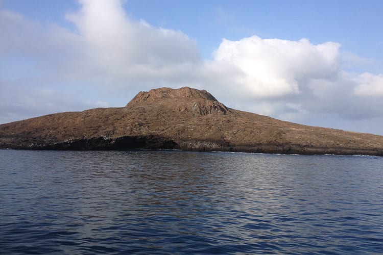 Islander II - Wild Galapagos Escape