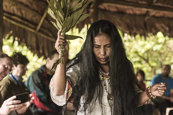 Amatista - Marañon River