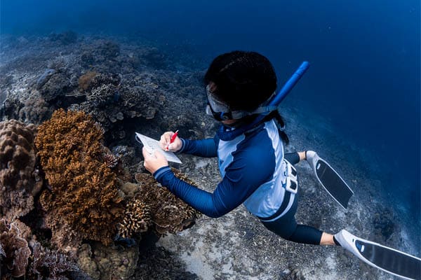 Augustine - Labuan Bajo - Sumbawa - Day 7
