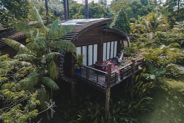 Mirante do Gaviao - Hawk Real