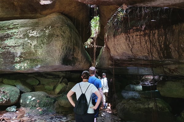 Mirante do Gaviao - Hawk Real