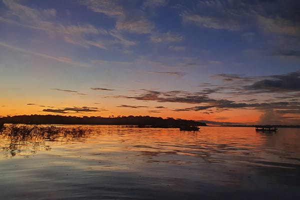 Mirante do Gaviao - Hawk Real