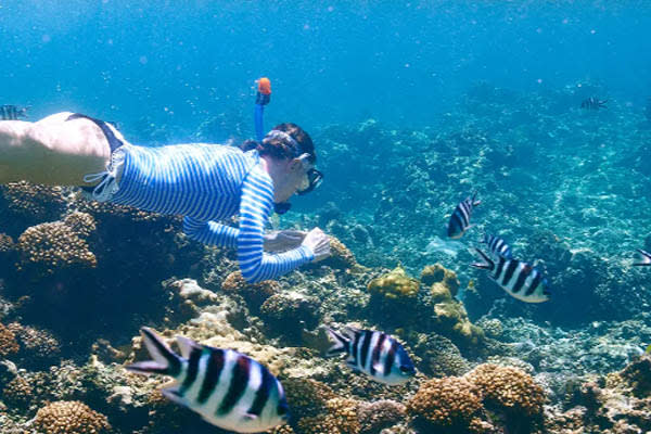 Aqua Lares - Aldabra & Seychelles’ Outer Islands - Day 6