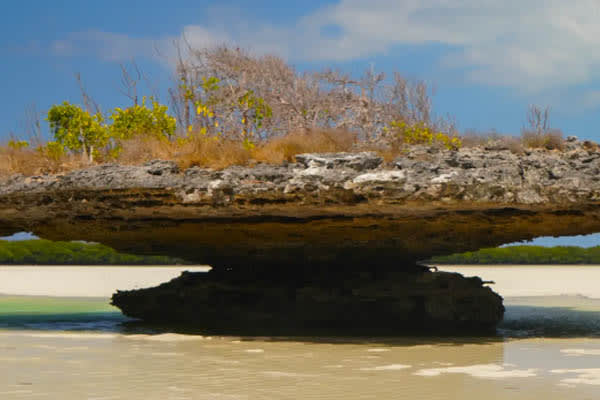 Aqua Lares - The Coralline Seychelles & Inner Islands - Day 4