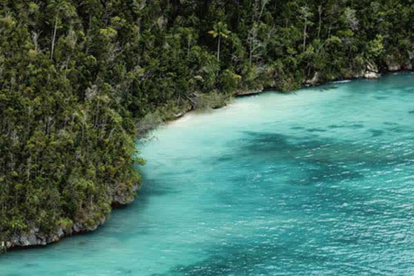 Mischief  - Raja Ampat The Coral Triangle: South to North Expedition - Day 8