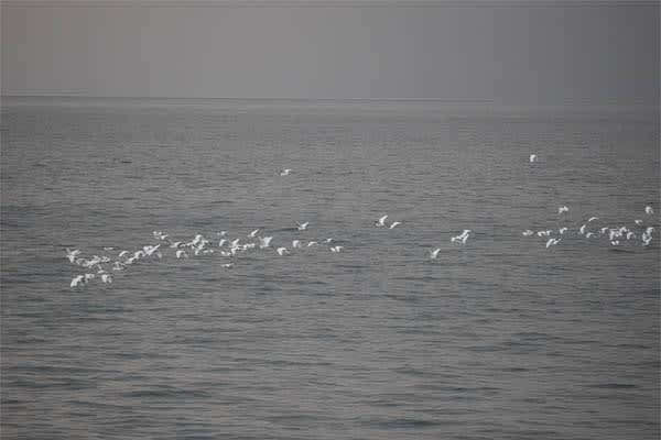 Moksha Pradana - Lake Toba's Journey - Day 4