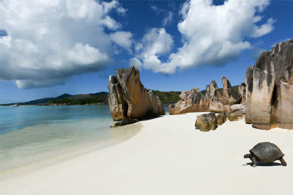 Sea Bird & Sea Star - The Inner Islands of Seychelles : Mahe to Mahe - Day 6