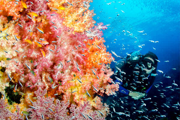 Silolona - Komodo Archipelago - Day 3