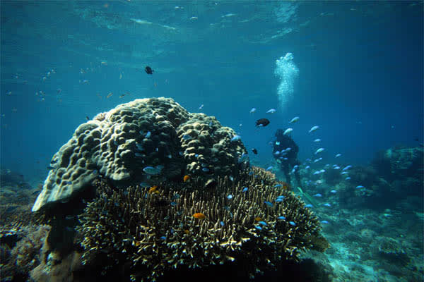 Si Datu Bua - Komodo Archipelago - Day 3