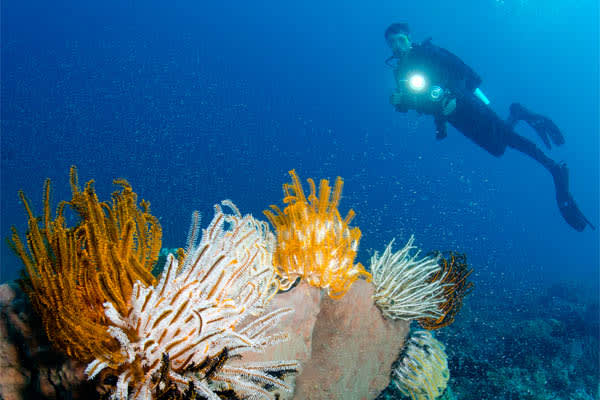 Si Datu Bua - Komodo Archipelago - Day 6