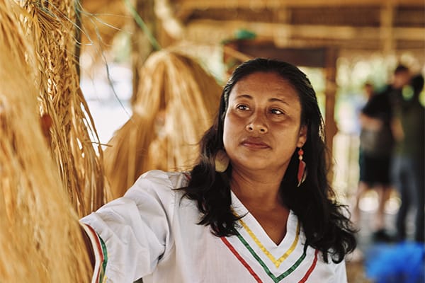 Pure Amazon - 7-Night Itinerary