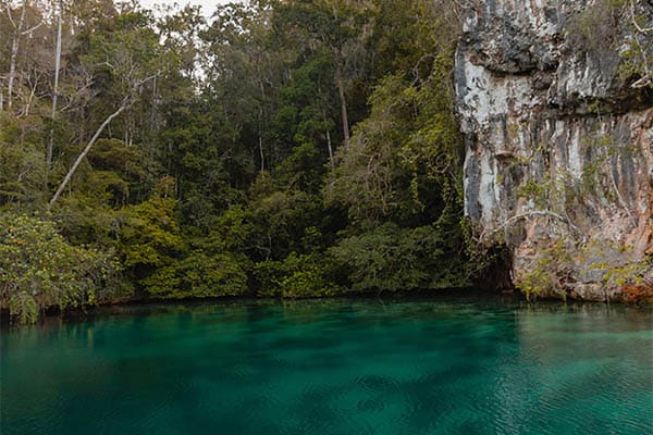 Aqua Blu - Raja Ampat, West Papua, and Forgotten Islands Expedition: Sorong-Labuan Bajo - Day 2