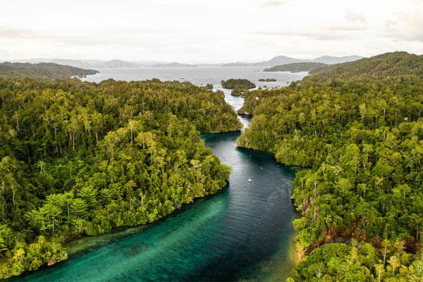 Aqua Blu - Raja Ampat, West Papua, and Forgotten Islands Expedition: Sorong-Labuan Bajo - Day 5