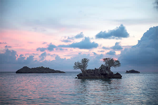 Aqua Blu - North & South Raja Ampat Expedition - Day 5