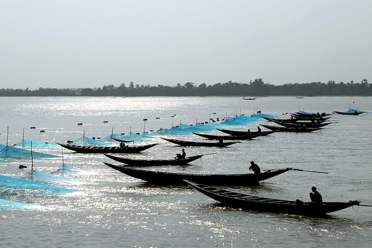 Ganga Vilas - Indo Bangladesh Cruise: Kolkata-Nimati Ghat - Day 6