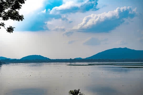 Ganga Vilas - Upper Assam Cruise: Nimati Ghat-Guwahati - Day 8