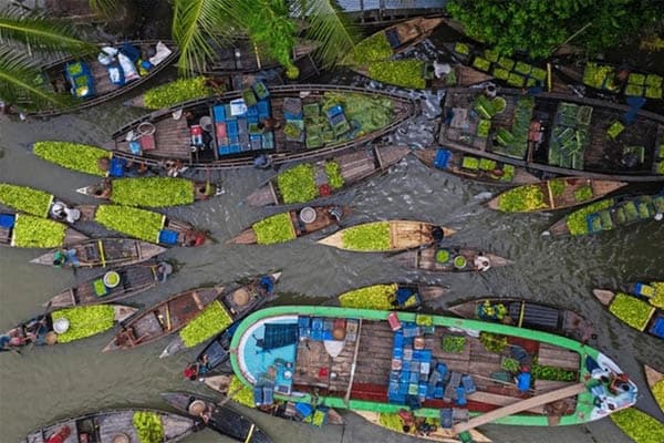 Ganga Vilas - Upper Assam Cruise: Guwahati-Nimati Ghat - Day 5