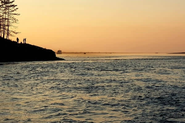 Ganga Vilas - Upper Assam Cruise: Guwahati-Nimati Ghat - Day 8