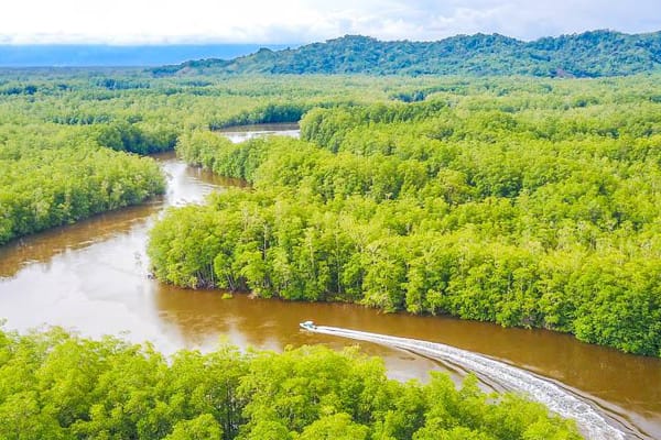 Galaxy Zibó - Quepos to Quepos