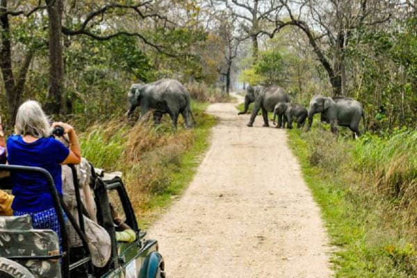 Mahabaahu - Bold & Wild: Silghat - Guwahati - Day 7