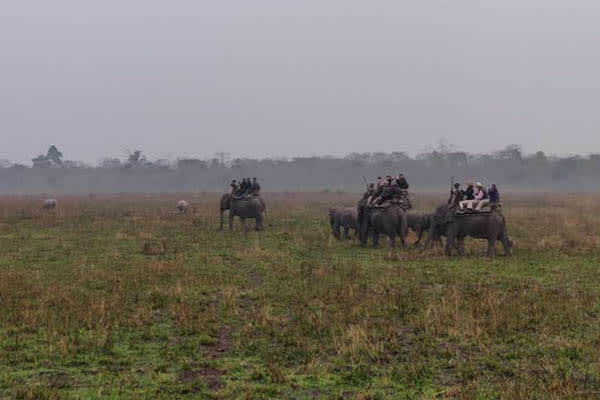 Mahabaahu - Wildlife & Culture: Jorhat - Guwahati - Day 6
