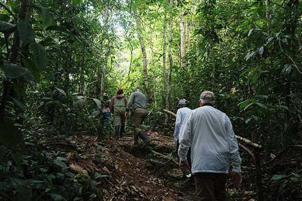 Amazon Explorer - 5D/4N Amazon Expedition
