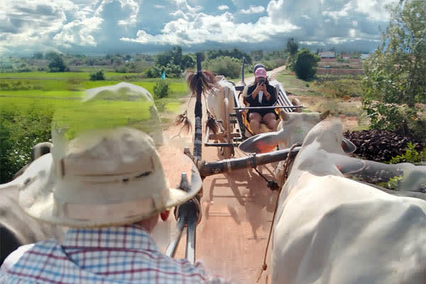 Mekong Symphony - Ho Chi Minh City - Siem Reap (Low Water Season) - Day 7