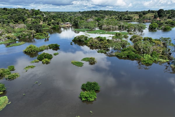 Acqua - NEW 6-Days Anavilhanas & Waterfalls