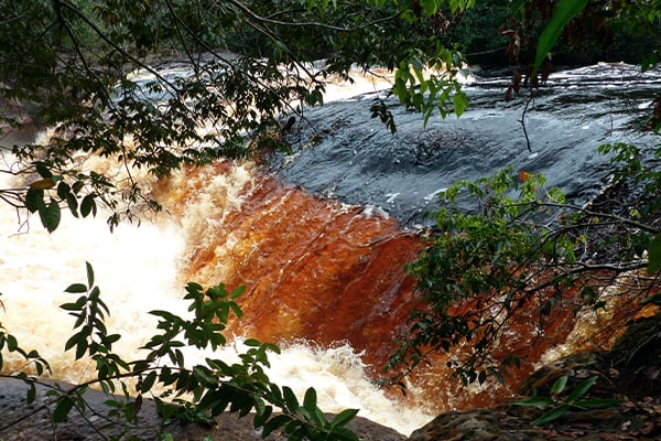 Acqua - NEW 6-Days Anavilhanas & Waterfalls