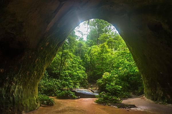 Acqua - NEW 6-Days Anavilhanas & Waterfalls
