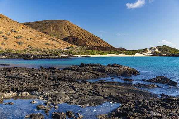 Galaxy Stella - Enchanted Islands