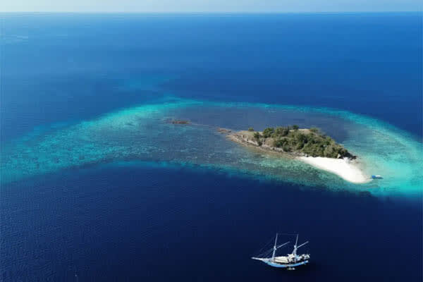Katharina - Spice Islands to the whale Sharks: Ambon-Kaimana - Day 7