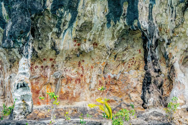 Katharina - Spice Islands to the whale Sharks: Ambon-Kaimana - Day 13