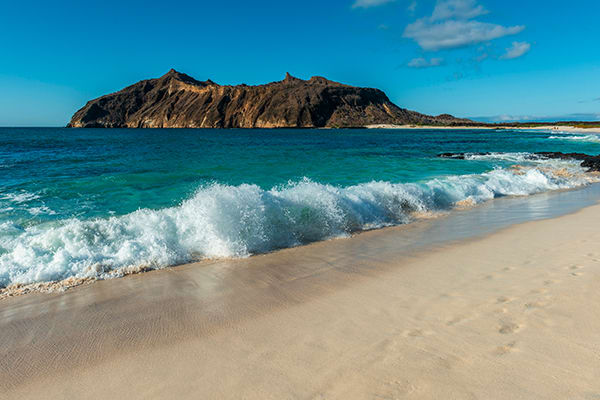 Eminence - Galapagos Expedition Cruise B
