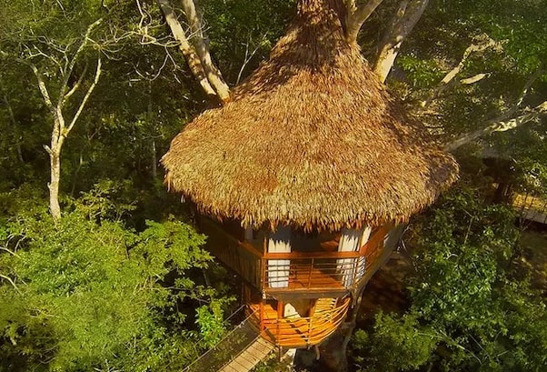 Treehouse Lodge's Dos Ramas Cabin - Exterior.