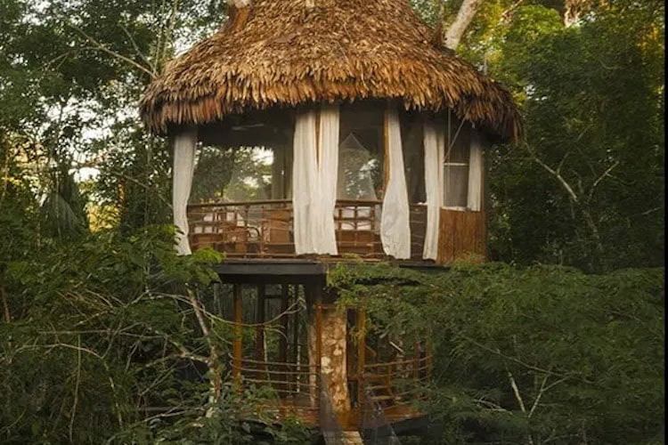 Treehouse Lodge's Laguna Vista Cabin - Exterior.