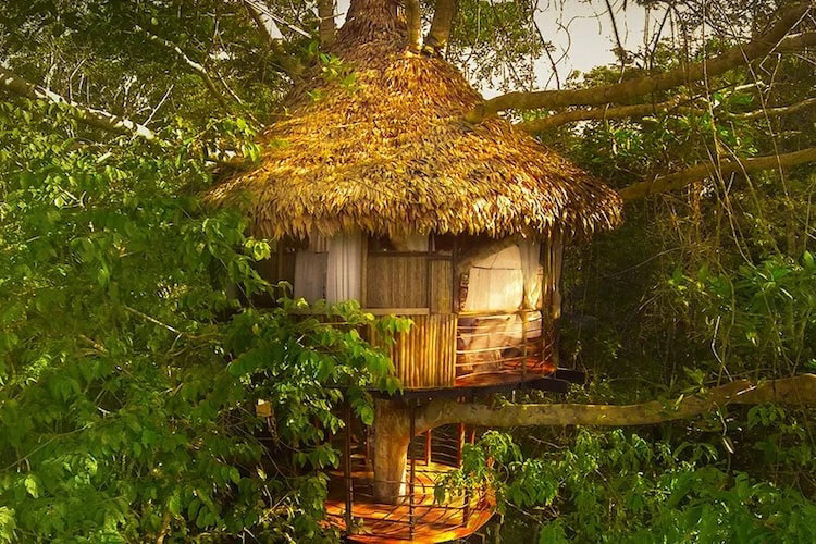 Treehouse Lodge's Rio Vista Cabin - Exterior.