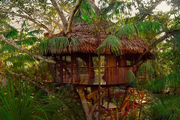 Treehouse Lodge's Casa Grande Cabin - Exterior.