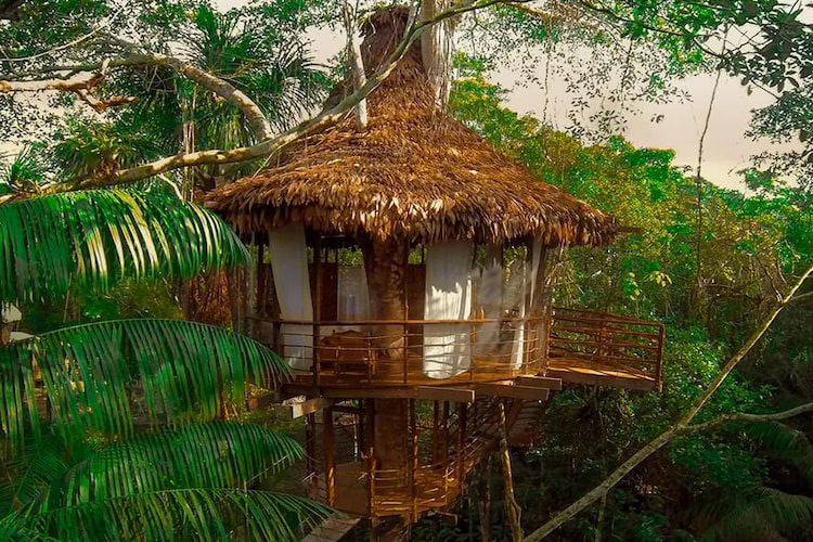 Treehouse Lodge's Bamboo House Cabin - Exterior.