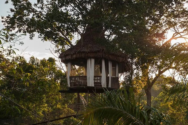Treehouse Lodge's Casa Alta Cabin - Exterior.