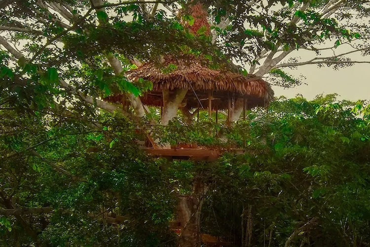Treehouse Lodge's 'The Cradle' Cabin - Exterior.